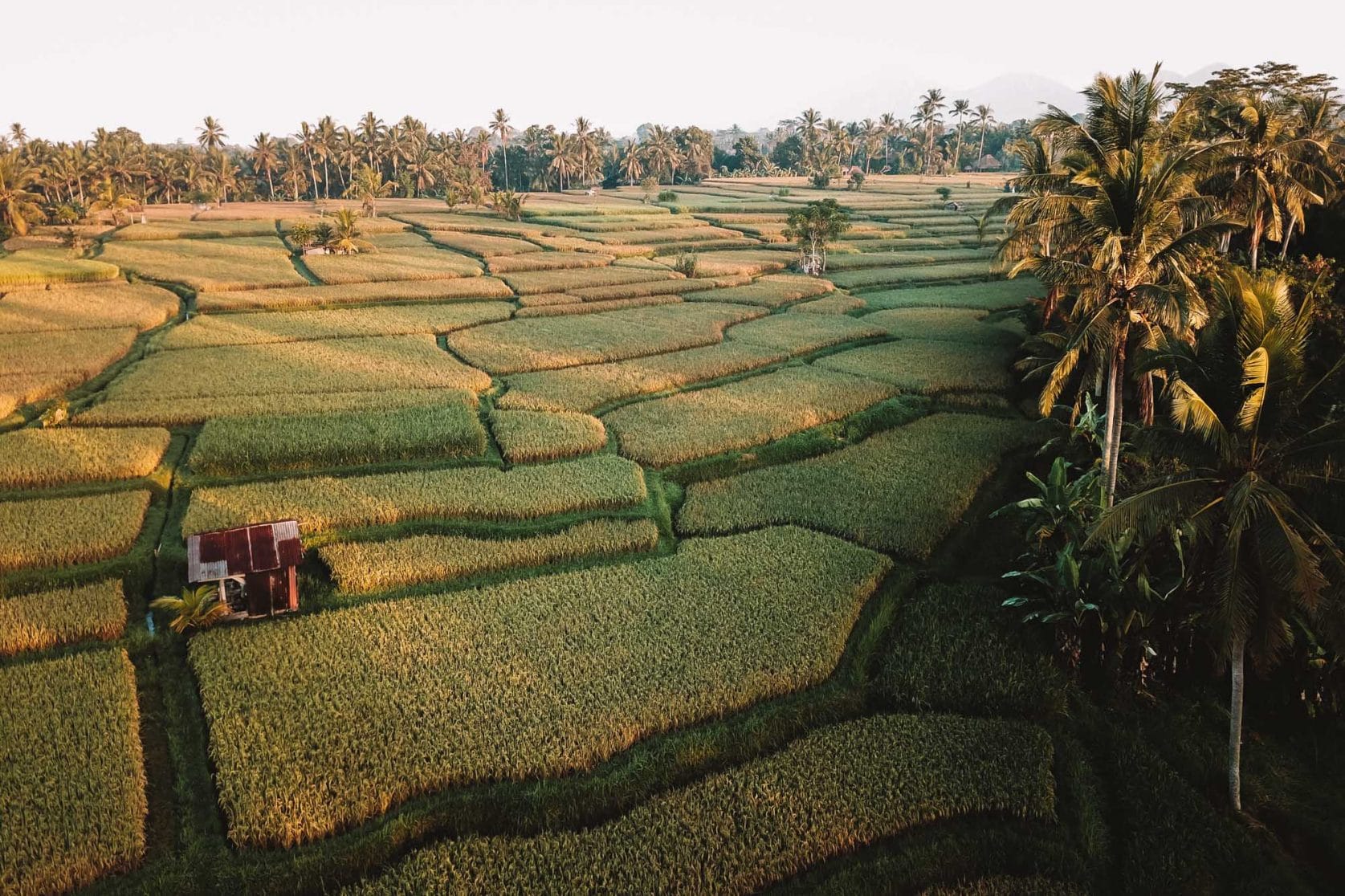 The Ultimate Itinerary for a Road Trip Through Bali + Tips