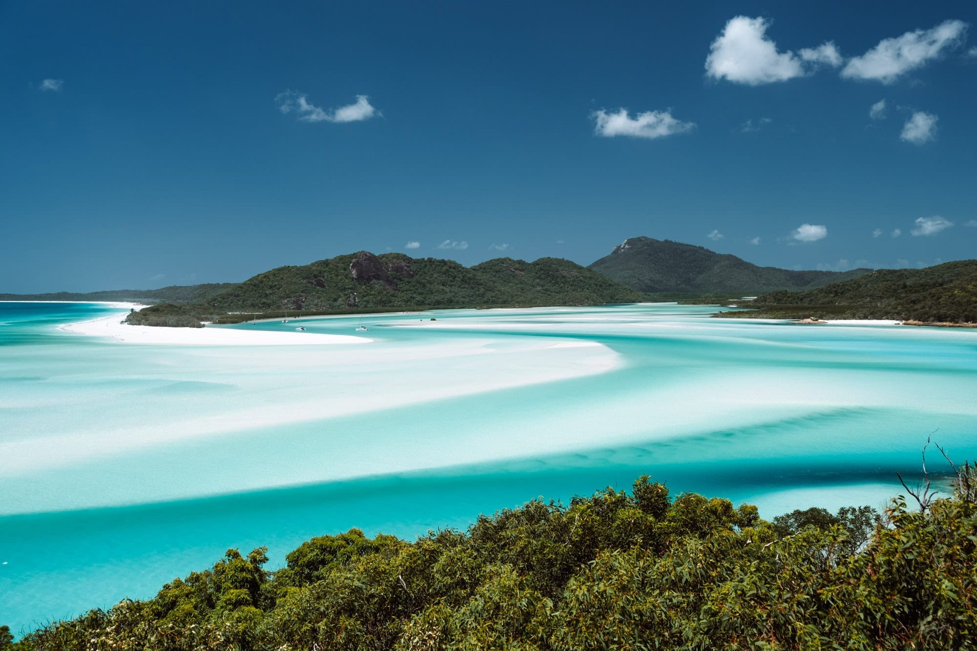 Best Tours & Sailing Adventures