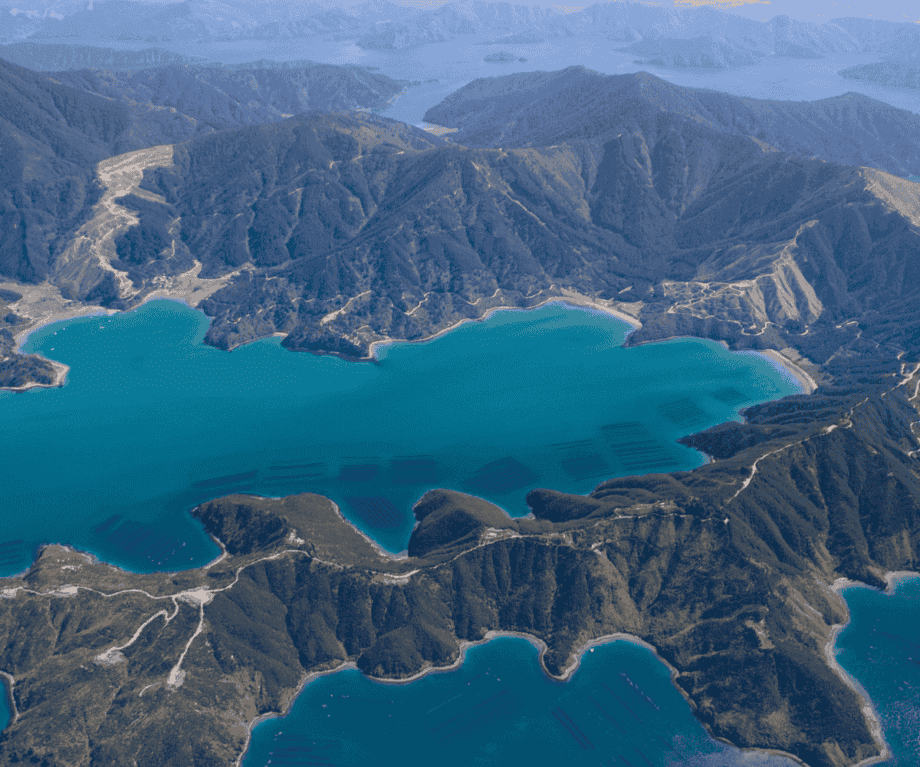 Beyond the thrill: Discovering New Zealand through history, culture and food