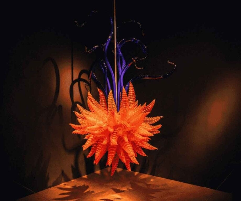 Experience New Zealand’s artistic soul