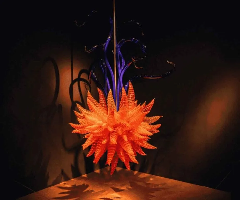 Experience New Zealand’s artistic soul