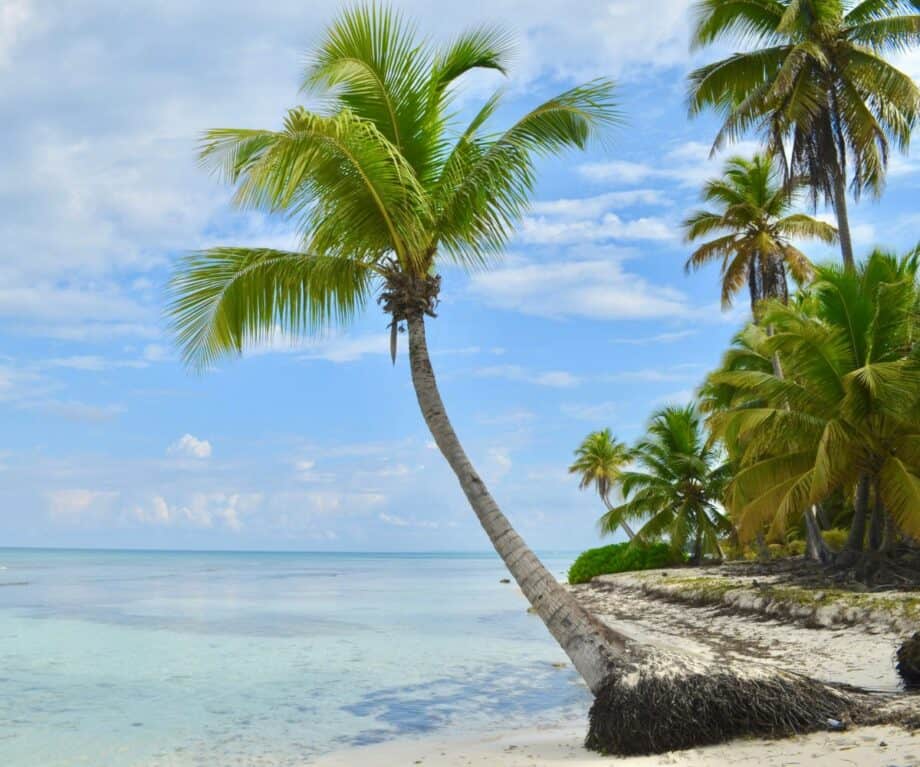 Luxury travel news from around the world (June 2025)