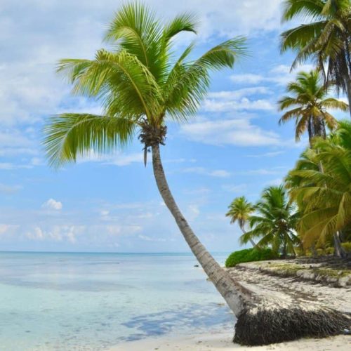 Luxury travel news from around the world (June 2025)