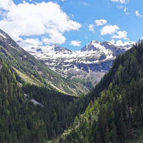 10 ways to spend the perfect summer in Grossarl, Austria