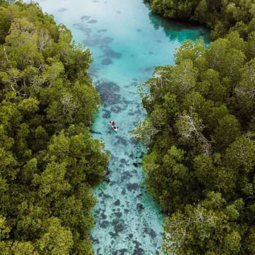 19 Practical Tips for Traveling Through Raja Ampat, Indonesia
