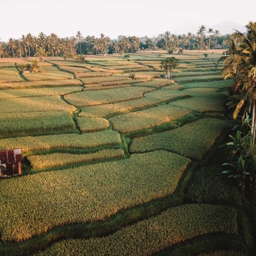 The Ultimate Itinerary for a Road Trip Through Bali + Tips